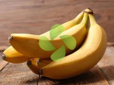 Muz Soğuk Hava Deposu