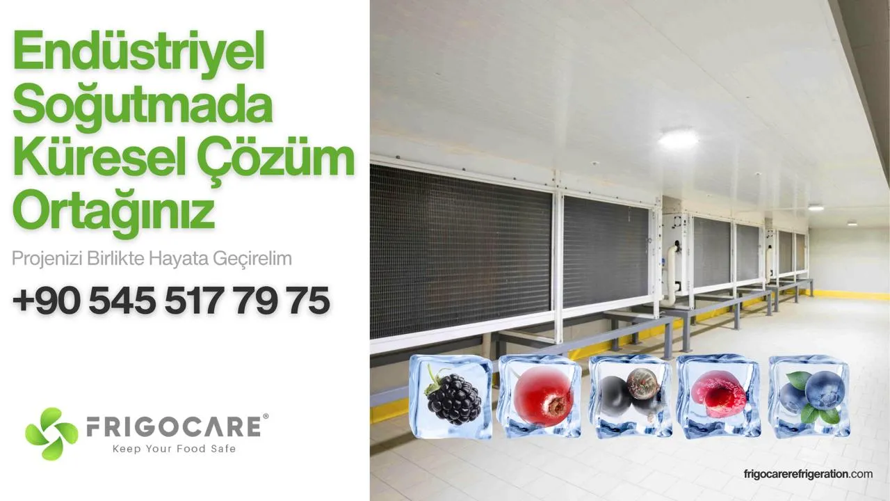 Dondurulmuş Ürün Depolama Sistemleri: Endüstriyel Soğuk Muhafazada Profesyonel Çözümler 