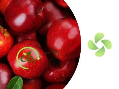 Atmosfer Kontrollü Soğuk Hava Deposu