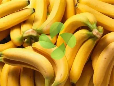 Muz Soğuk Hava Deposu