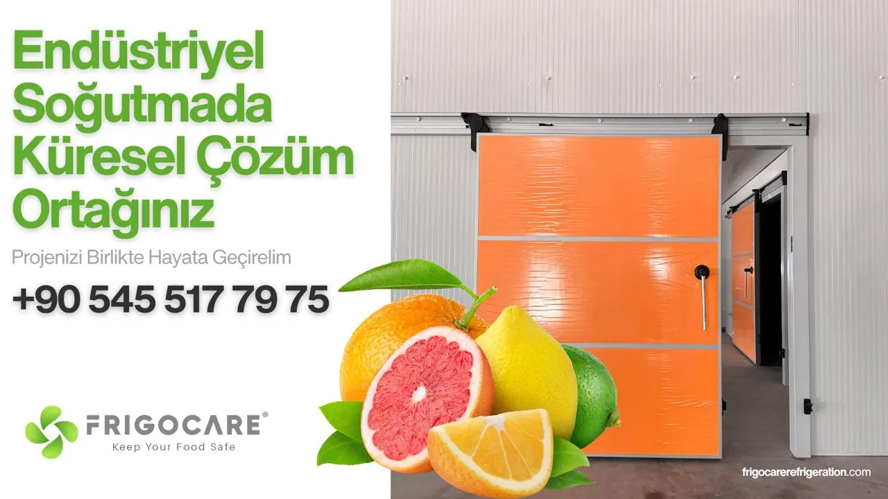 Narenciye İçin Soğuk Depo Nasıl Olmalı? 