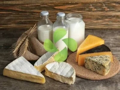 Süt ve Süt Ürünleri Soğuk Hava Deposu