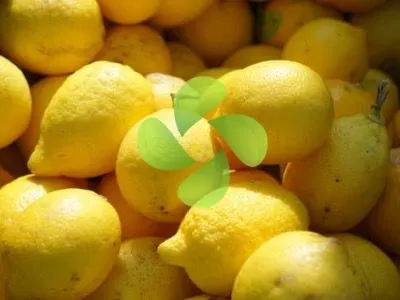 Narenciye Soğuk Hava Deposu