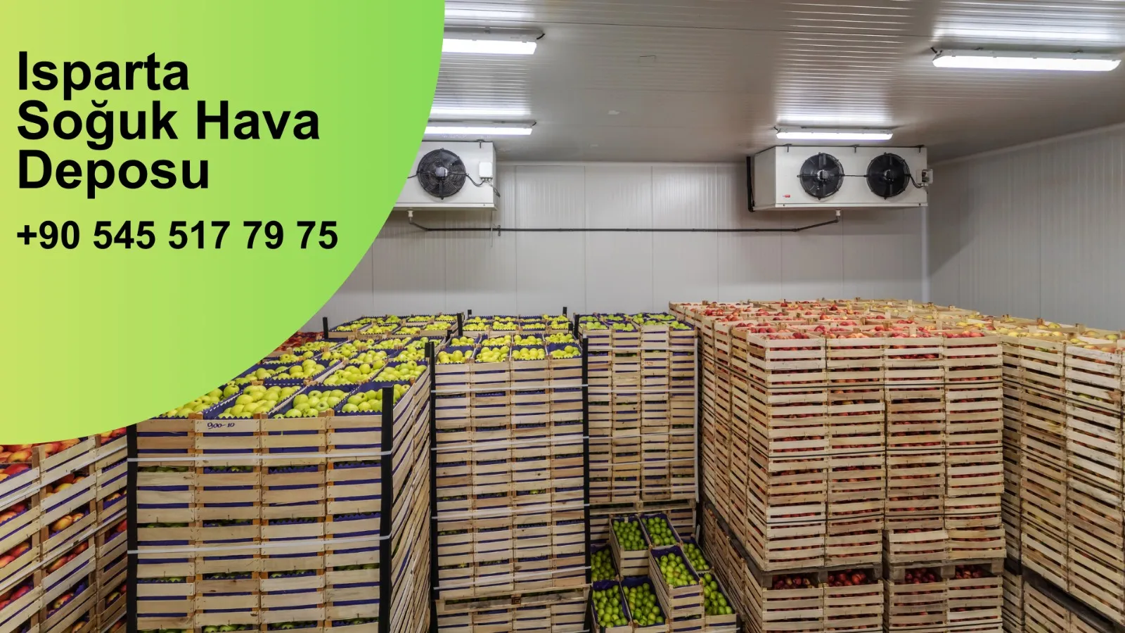 Isparta Soğuk Hava Deposu