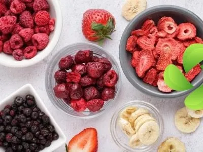 Freeze Dry Sistemleri