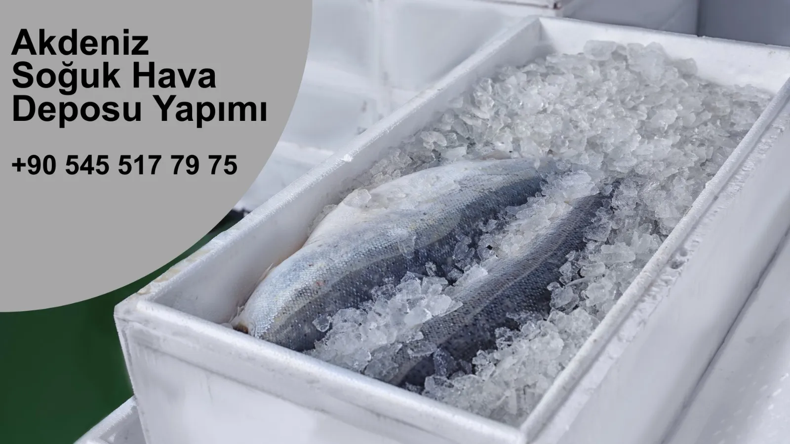 Akdeniz Soğuk Hava Deposu Yapımı