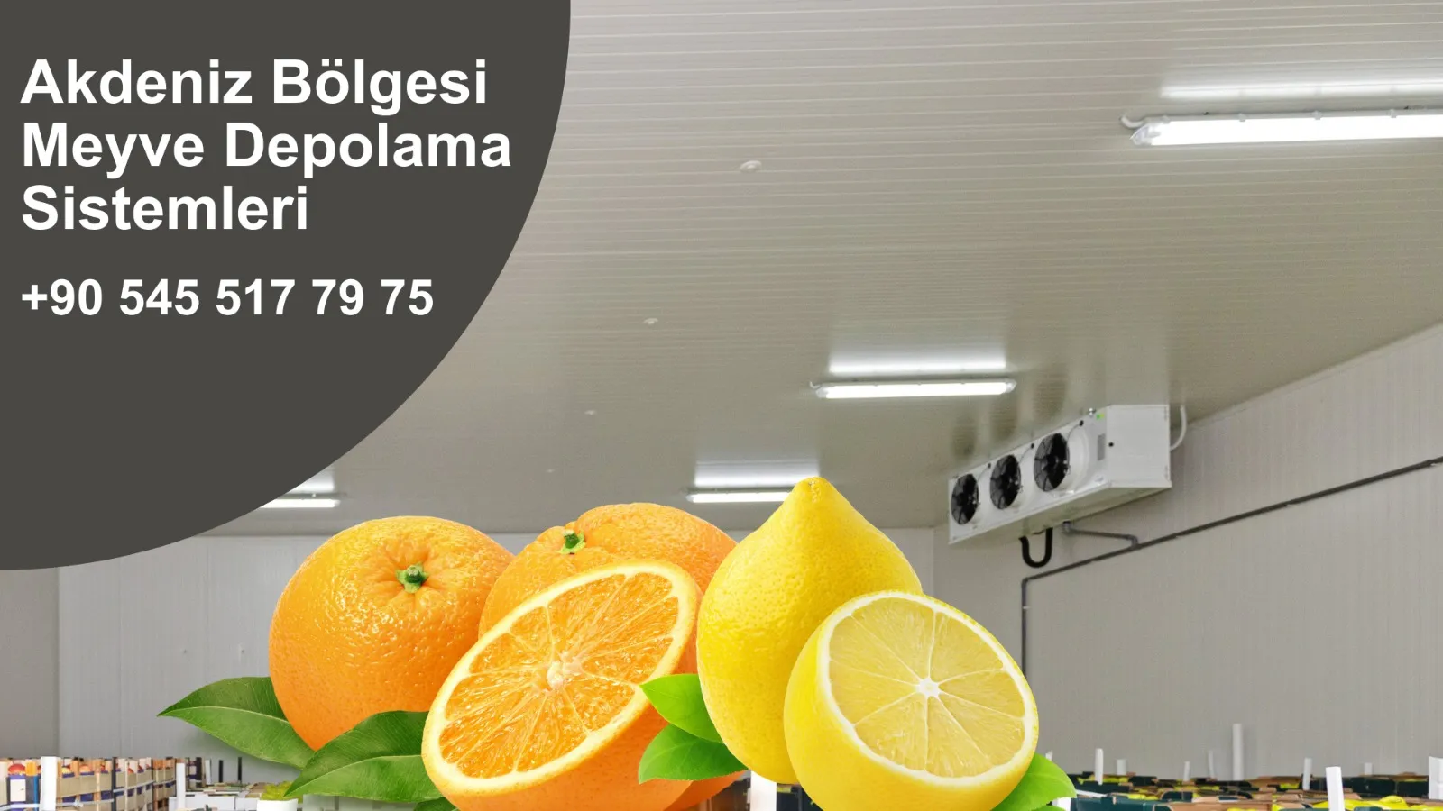 Akdeniz Bölgesi Meyve Depolama Sistemleri