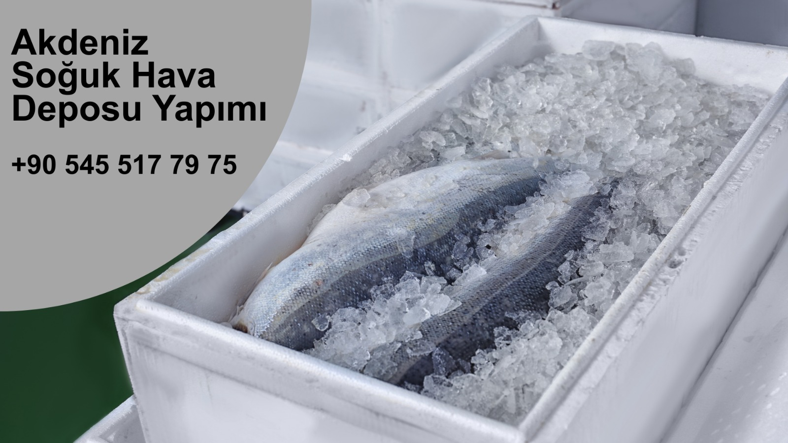 Sebze Soğuk Hava Deposu