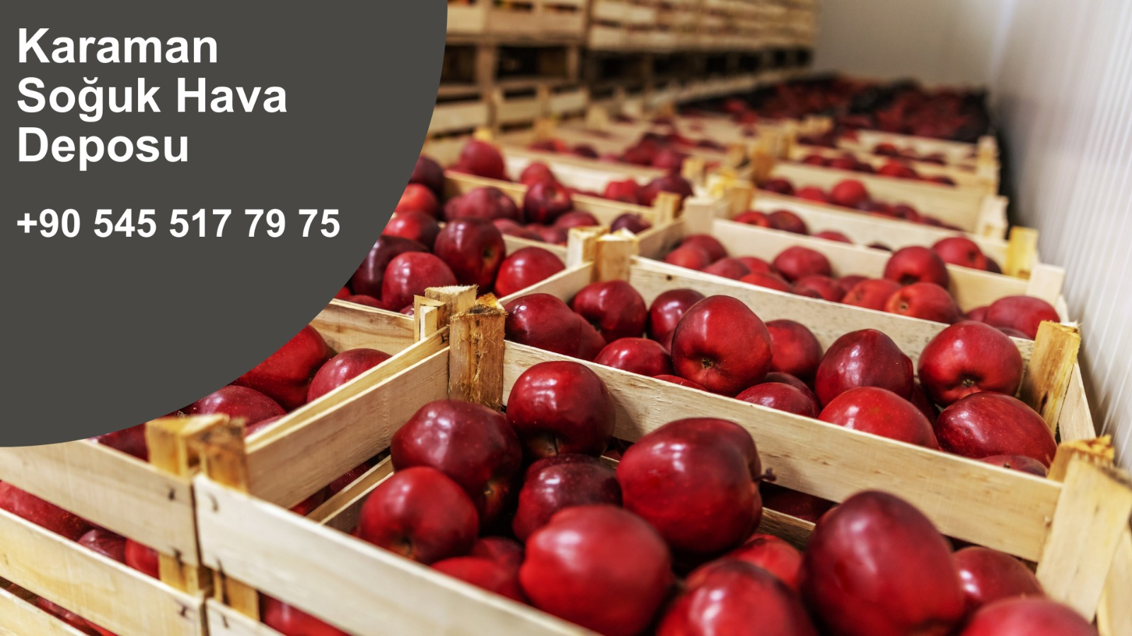 Lojistik Soğuk Hava Deposu