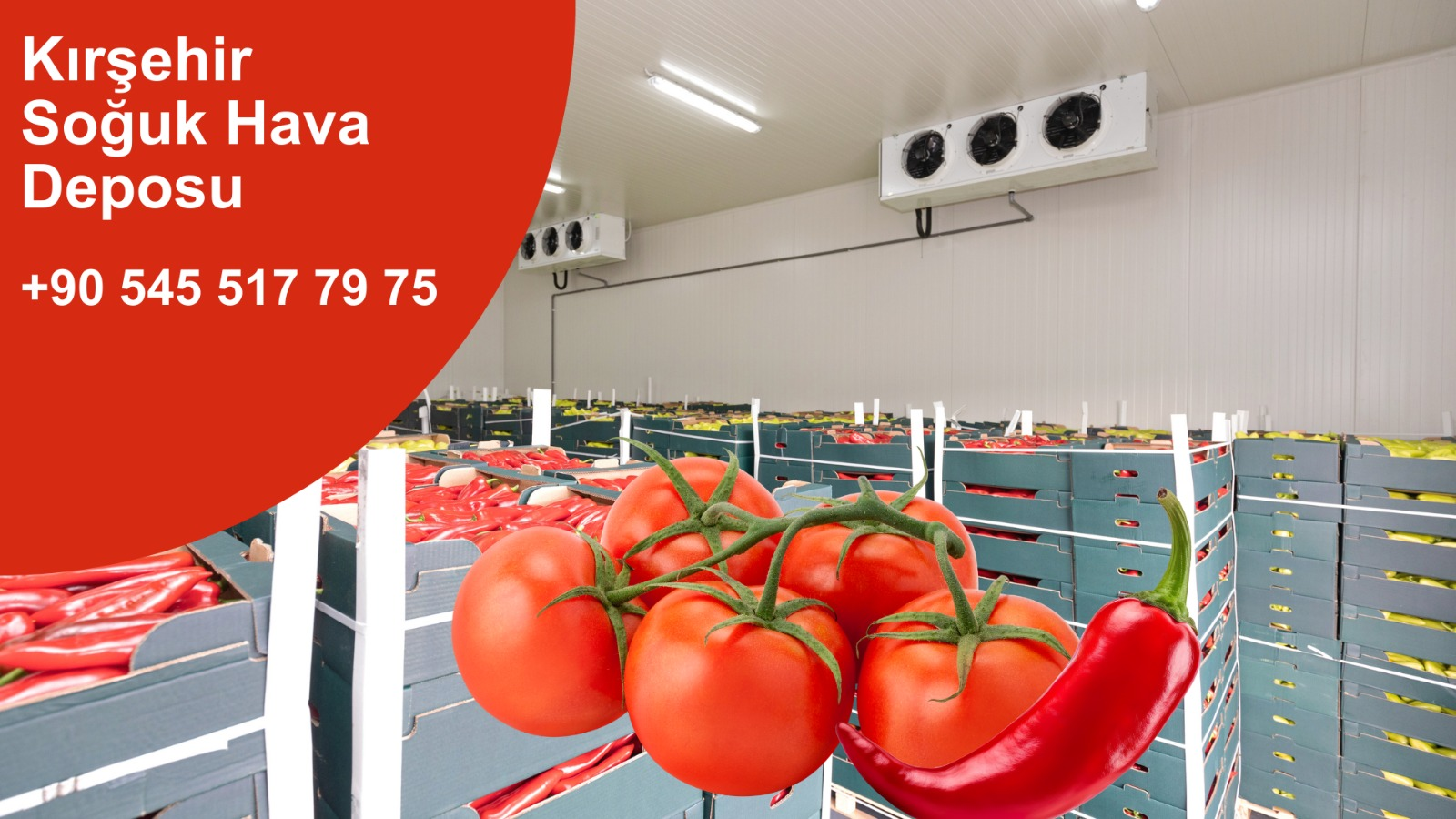 Lojistik Soğuk Hava Deposu