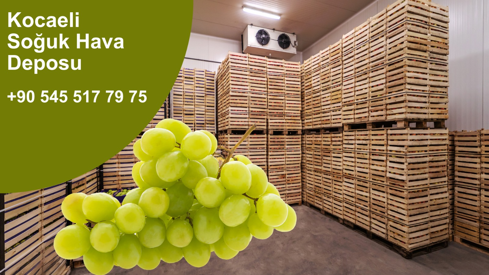 Lojistik Soğuk Hava Deposu